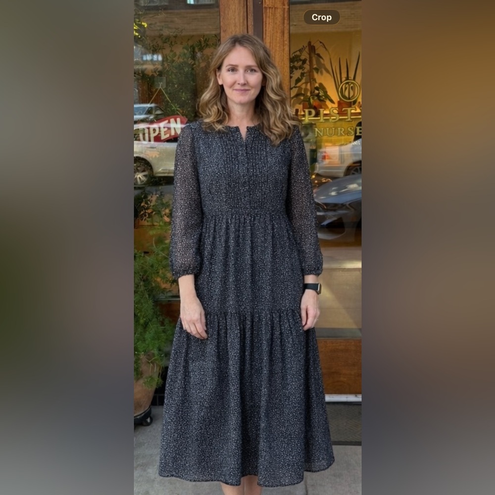 NWT New Levi’s Cielo Georgette  Boho Dress Small